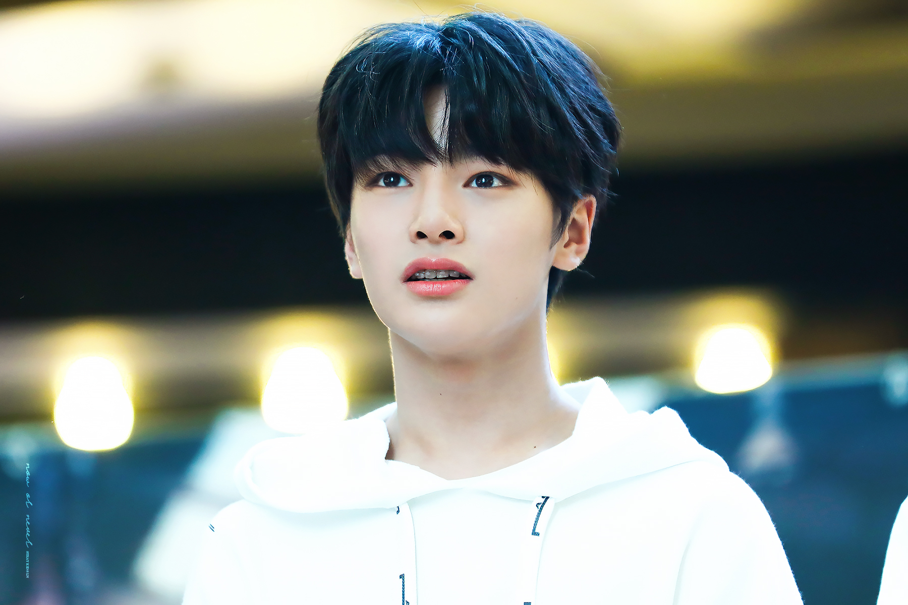 IN_Stray_Kids_2001.jpg