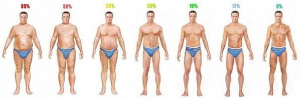 body-fat-percentage-men-1-600x199.jpg