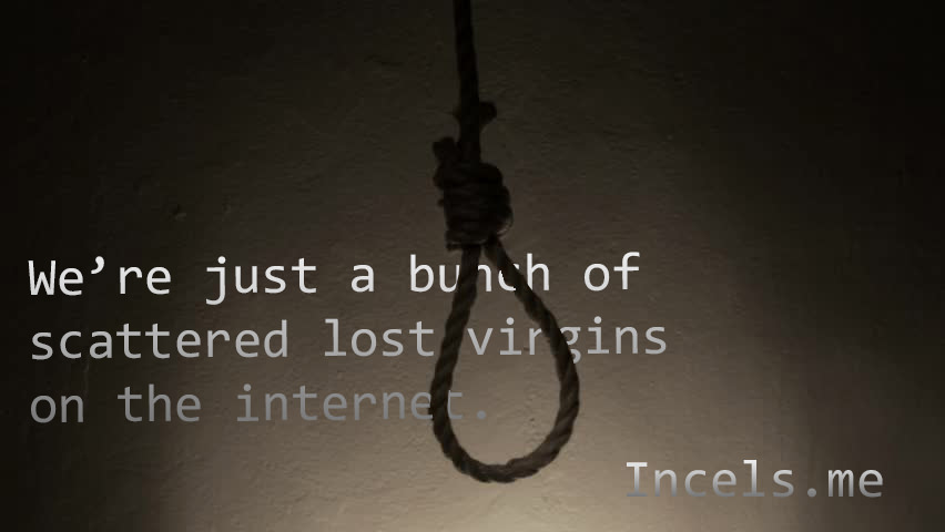 DDjvo8r.jpg