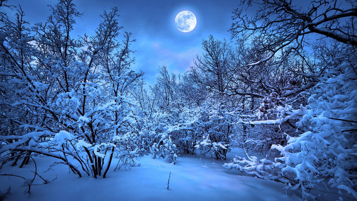 forest_moon_night_snow_winter______f_1920x1080_by_darkadathea-d8n2imq.jpg