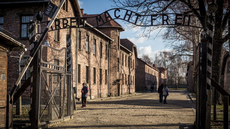 auschwitz-Matti-Panciroli.jpg