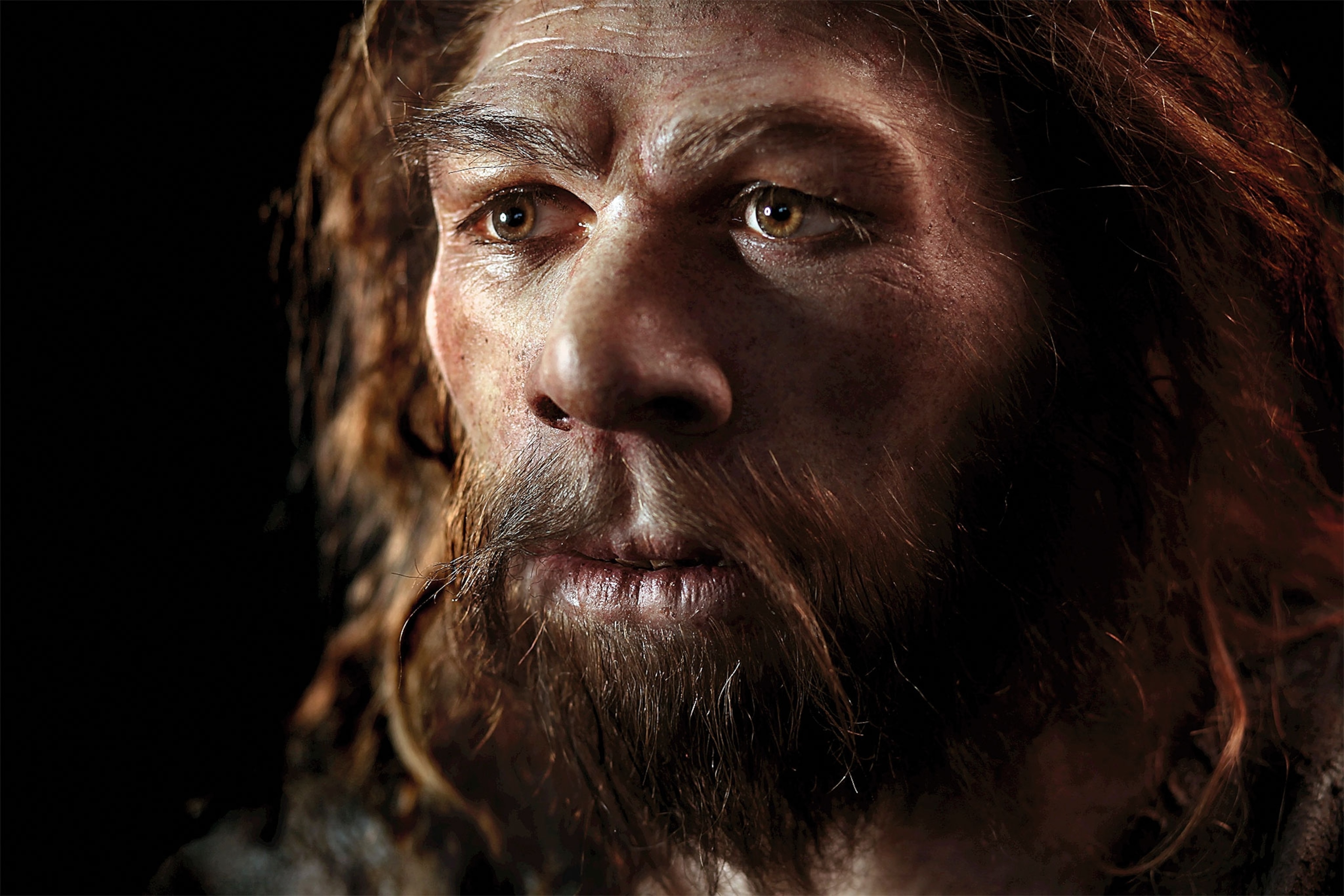 neanderthal15.jpg