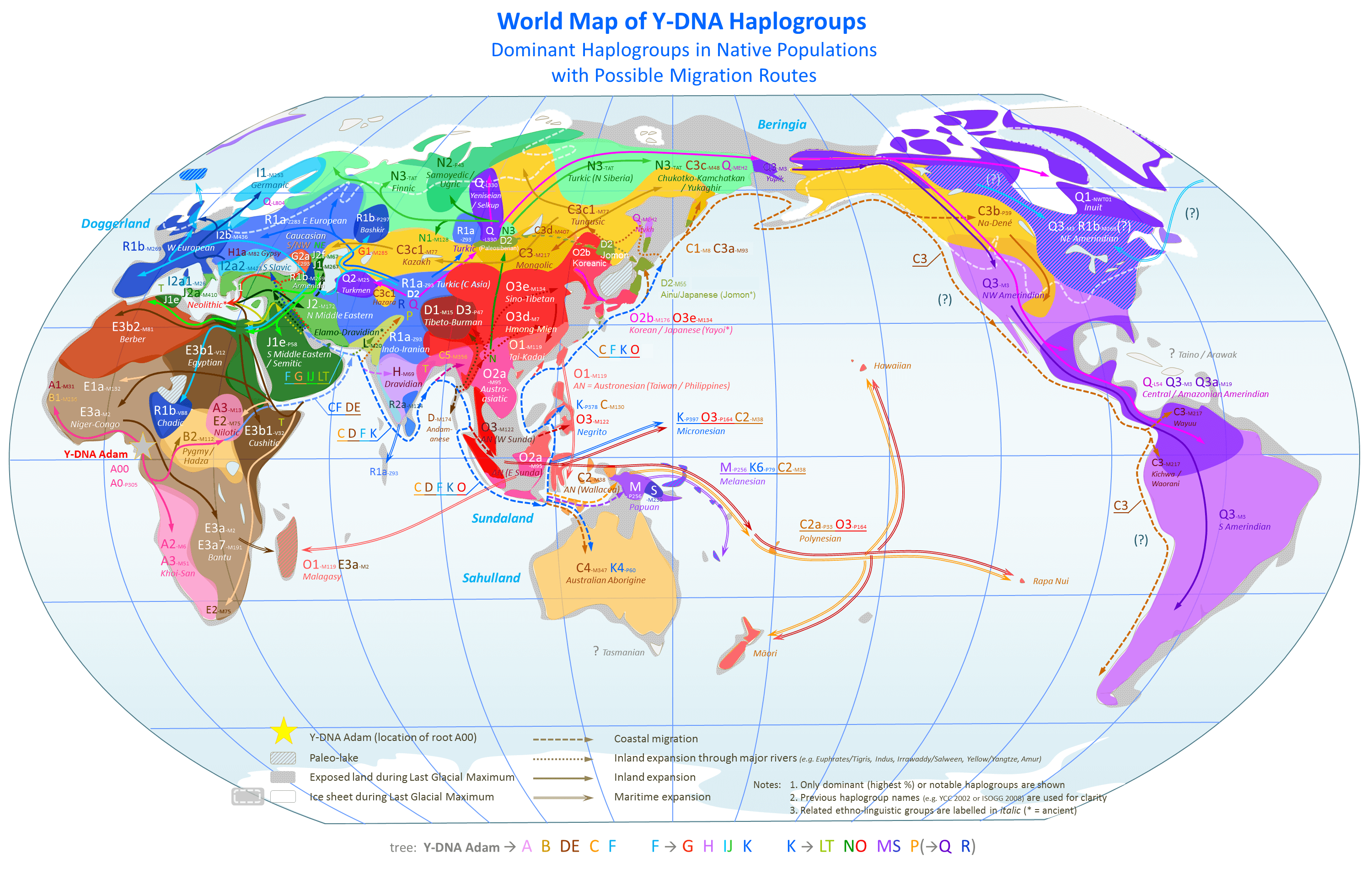 World_Map_of_Y-DNA_Haplogroups.png