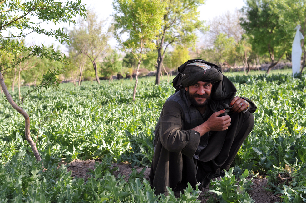 opium-fields-14.jpg