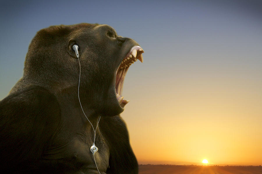 gorilla-with-headphones-guy-crittenden.jpg