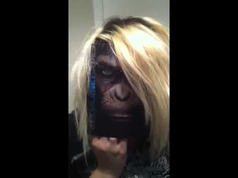 Image result for blonde monkey