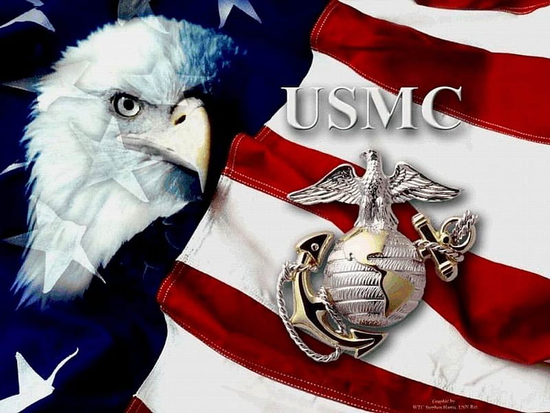 HD-wallpaper-us-marines-flag-with-american-eagle-marine-hero-democracy-american-flag.jpg