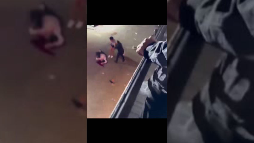 bestgore.fun