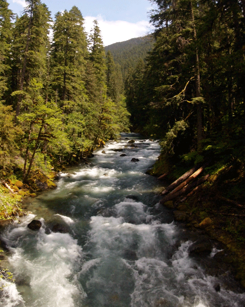 river-gif-890.gif