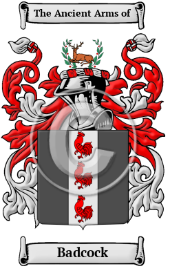 www.houseofnames.com