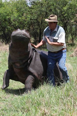 0_My-Pet-Hippo.jpg