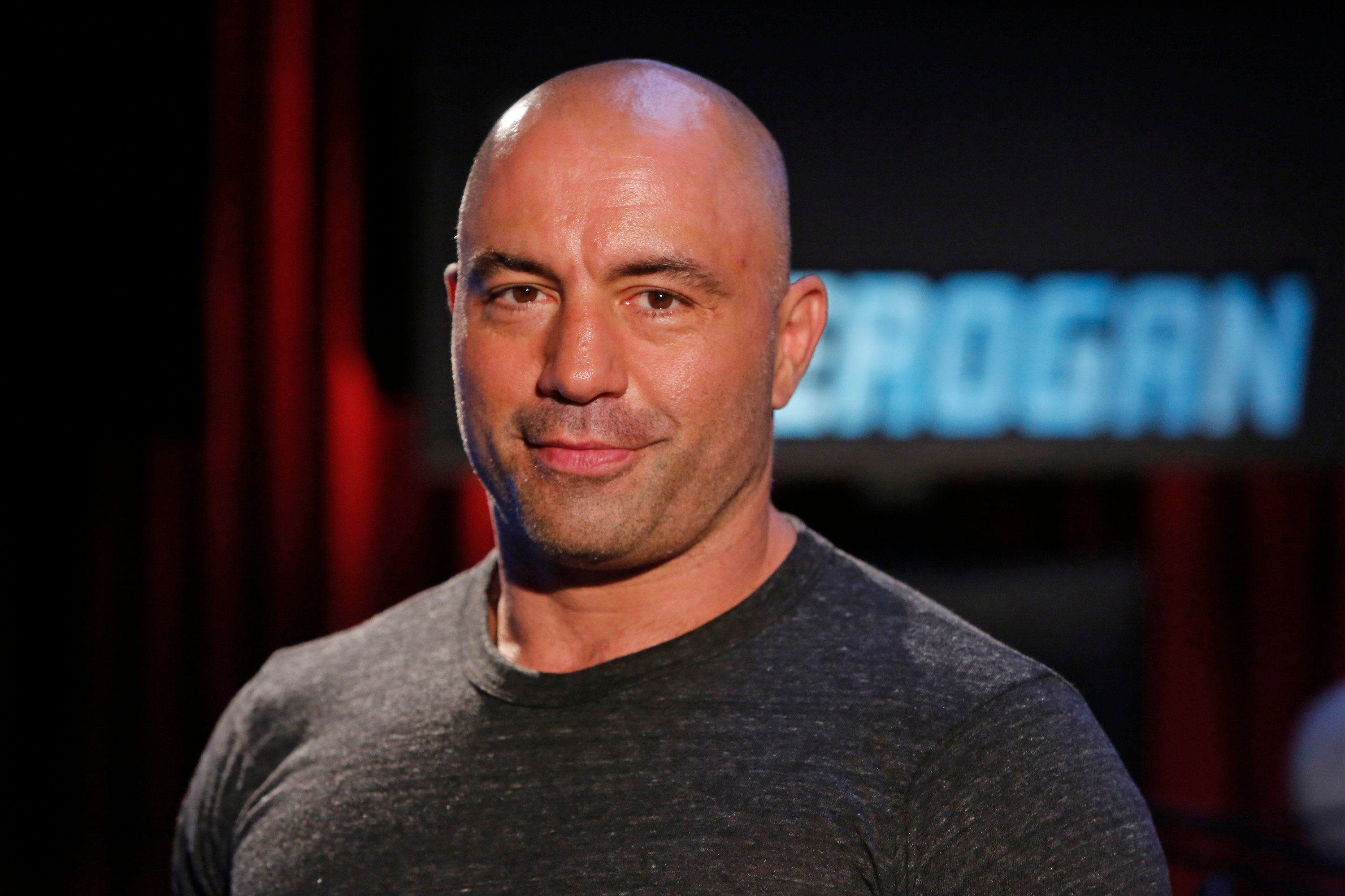 rogan-1.jpg