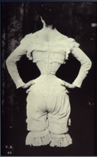 Wasp_waist.png