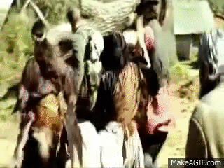 SjKyOK.gif