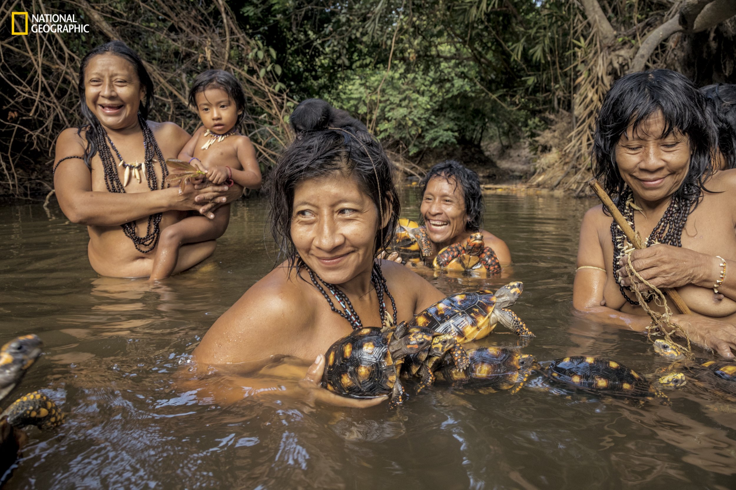 national-geographic-one-use4.jpg