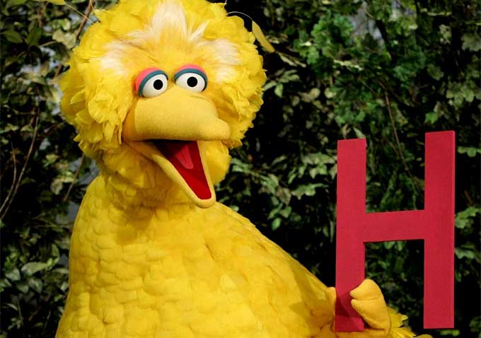 bigbird.jpg