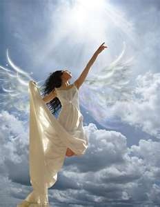 2d2f808a6573a9b869164d66a9bfc8c6--angel-s-angel-wings.jpg