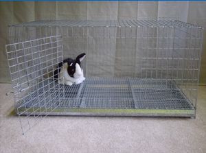 Rabbit Cage Size Guide | House Rabbit Resource Network