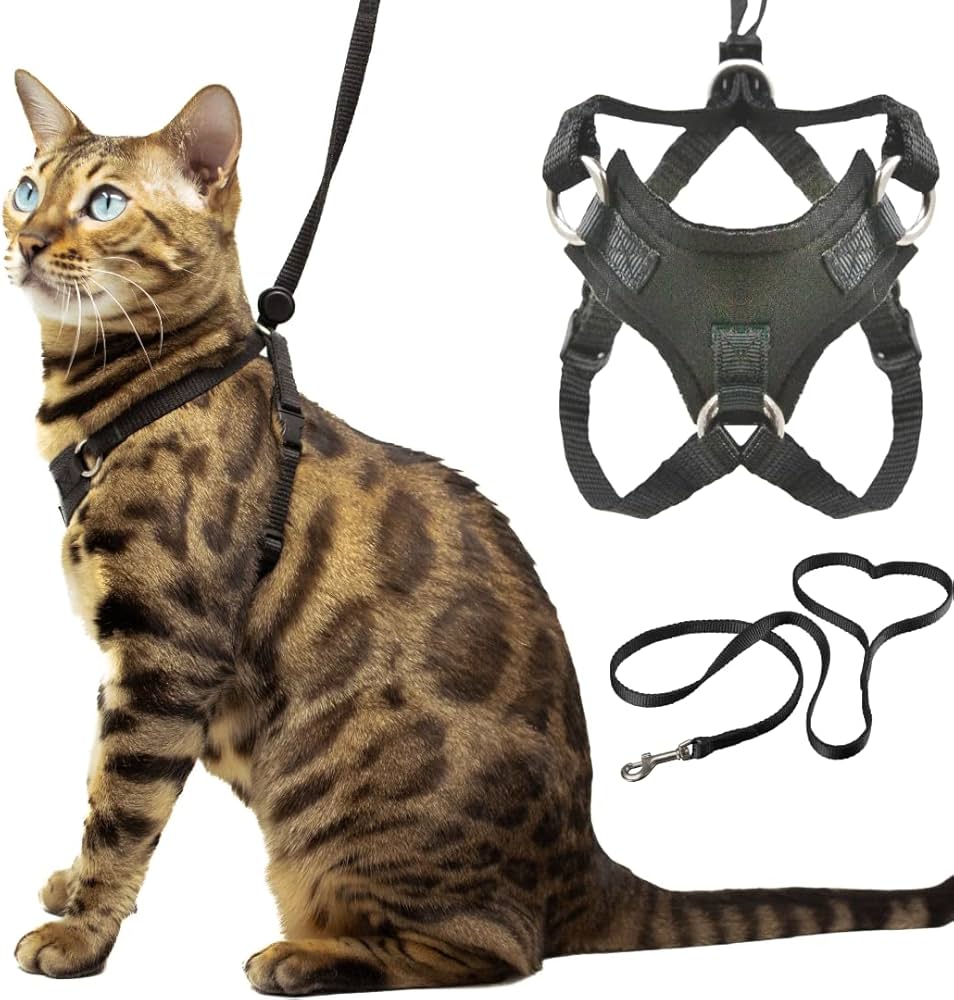 Houdini™ Large Cat Harness and Leash Set (Escape Resistant) by  OutdoorBengal for Walking Big Cats (L) : Amazon.co.uk: Pet Supplies