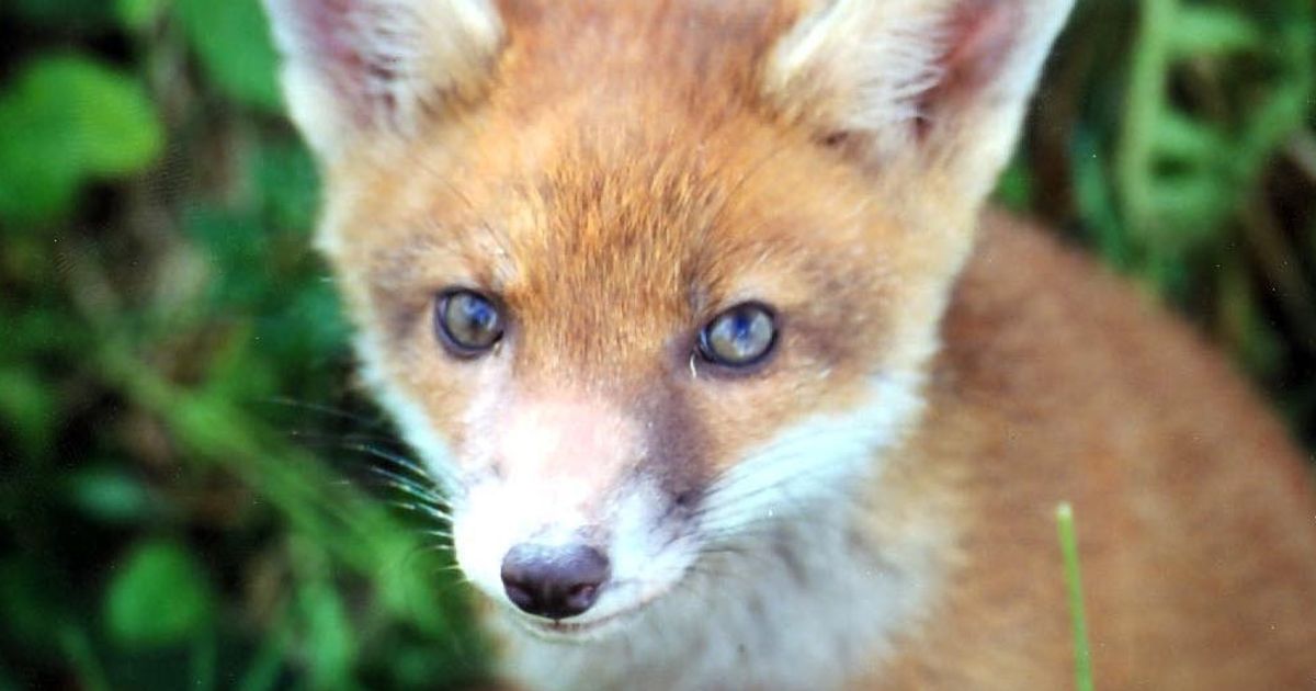 www.gloucestershirelive.co.uk
