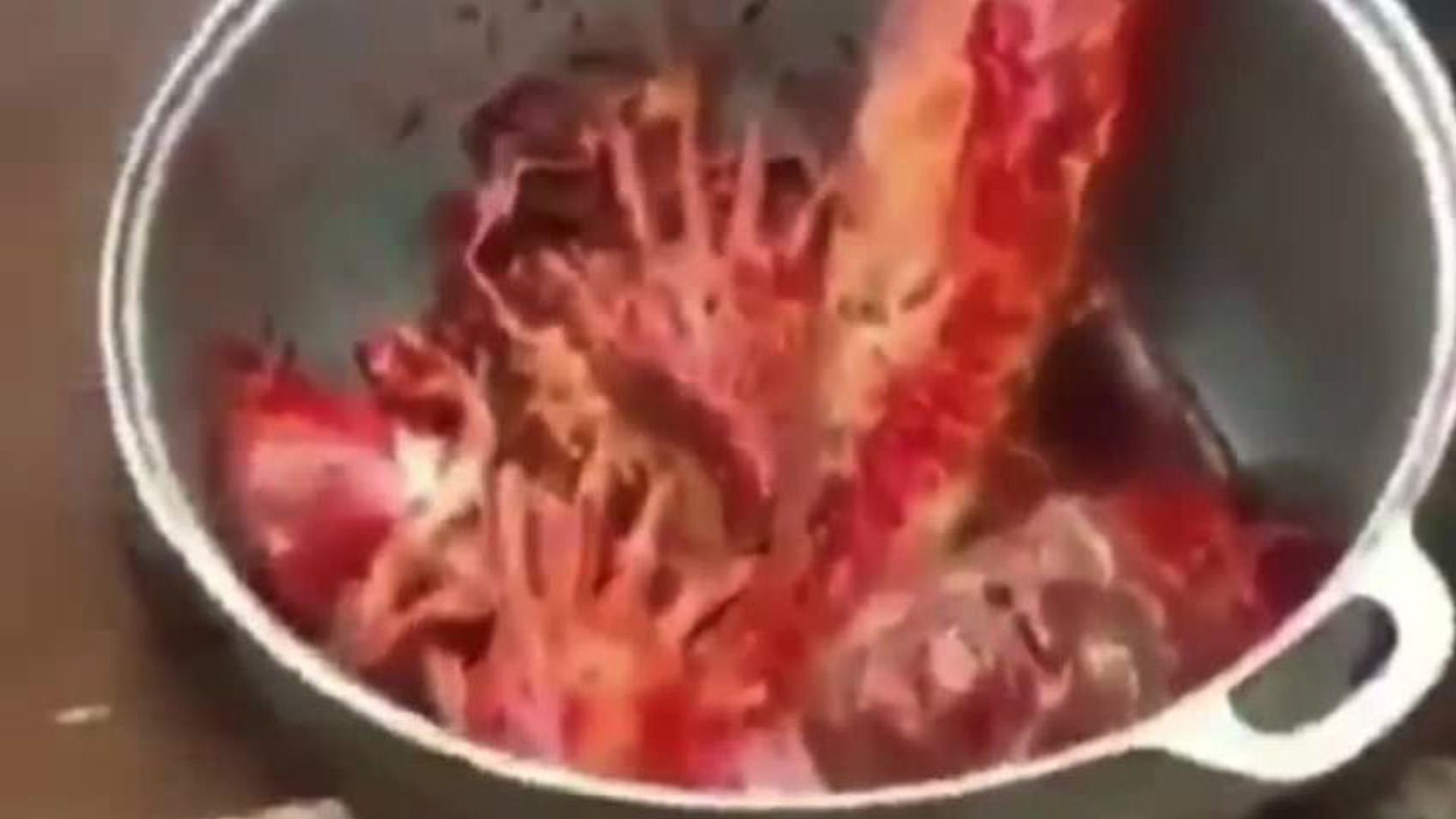 bestgore.fun