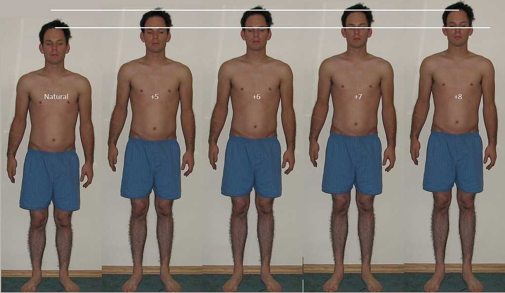 www.findhealthtips.com