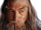 lord-blancs-sourire-regard-fume-mordor-milieu-magicien-terre-saquet-vieux-seigneur-sda-gandalf-rings-anneaux-pipe-frodon-cheveux-golum-sam-des-sauron-lotr-broula-sage-amuse-barbe