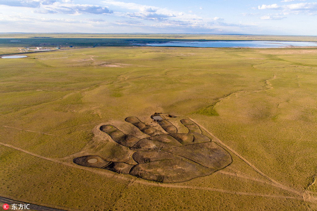 Giant 'Buddha's palm' appears in Inner Mongolia