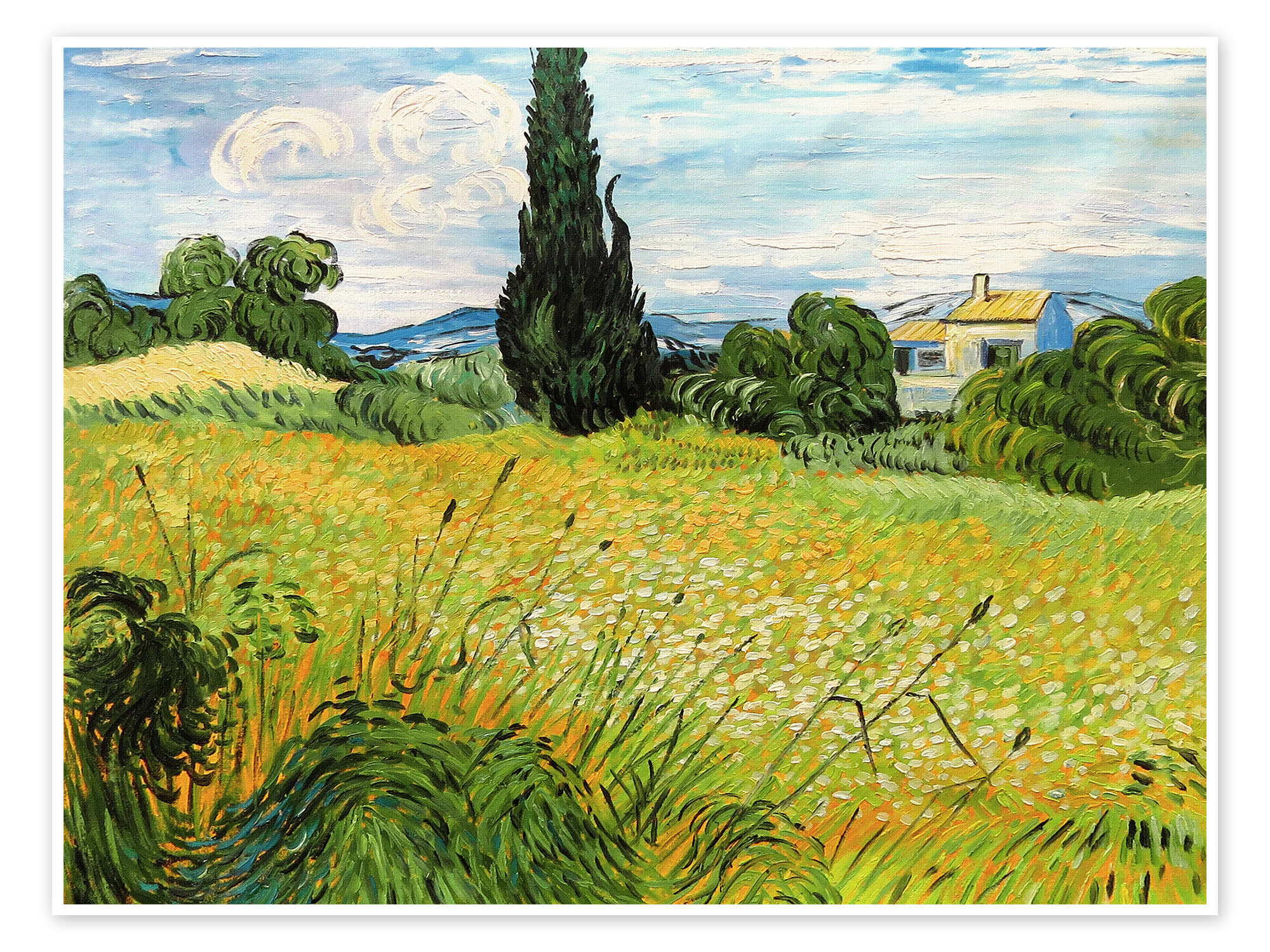 Green Wheat Field with Cypress av Vincent van Gogh som plakat, lerretsbilde  og mer | Posterlounge.no