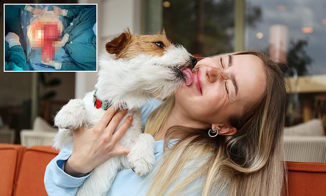 www.dailymail.co.uk