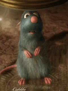 74edfa0da8ef1cf2211de89050f9821c.gif