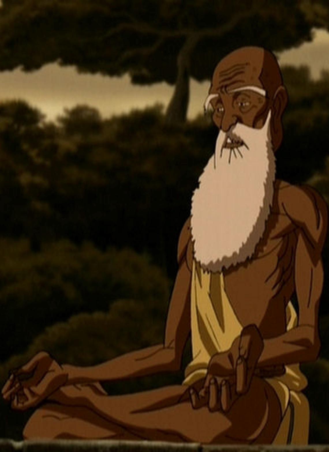 r/TheLastAirbender - a cartoon of a person with a white beard sitting on a rock
