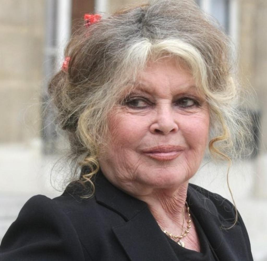 Brigitte-Bardot-DW-Vermischtes-Paris-jpg.jpg