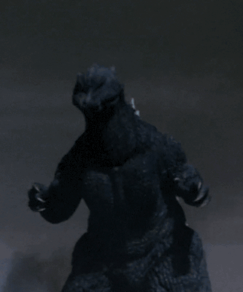 tumblr_nbxb5zkDc91s2wio8o1_500.gif