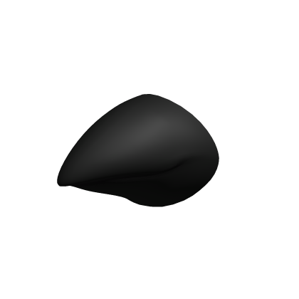 www.roblox.com