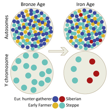 www.sciencedirect.com