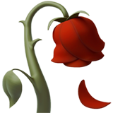 wilted-flower_1f940.png