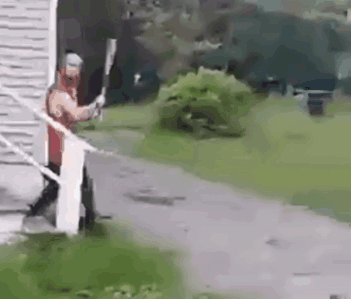 qxsfev3ihqmb1.gif