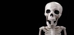 Laughing Skeleton Memes - Imgflip