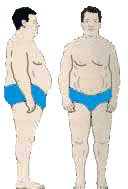 body1.jpg