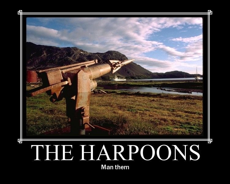 Man_the_Harpoons.jpg