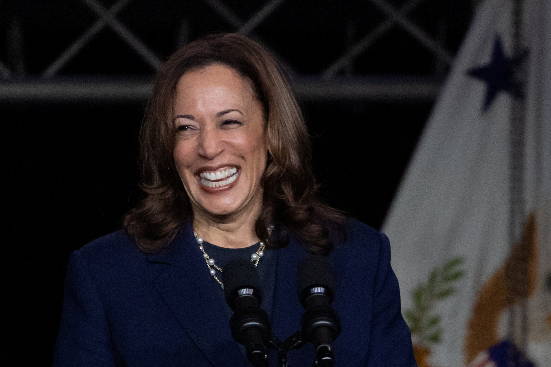 Fact Check: Kamala Harris has long identified as Black, contrary to Trump  claim | Reuters