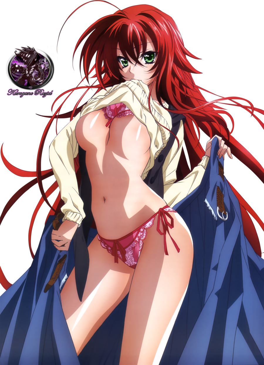 High-school-DXD-image-high-school-dxd-36402400-900-1242.png