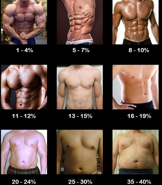fat-percentage.jpg