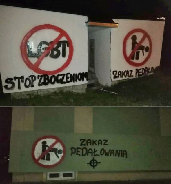 zak2.jpg