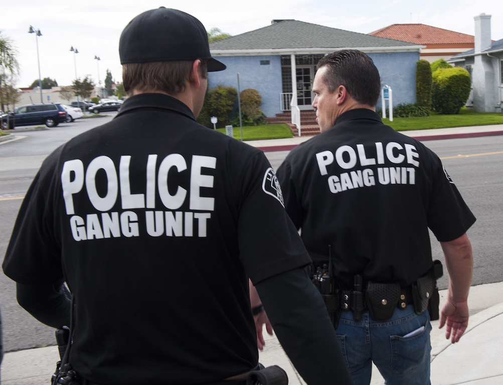 gang unit