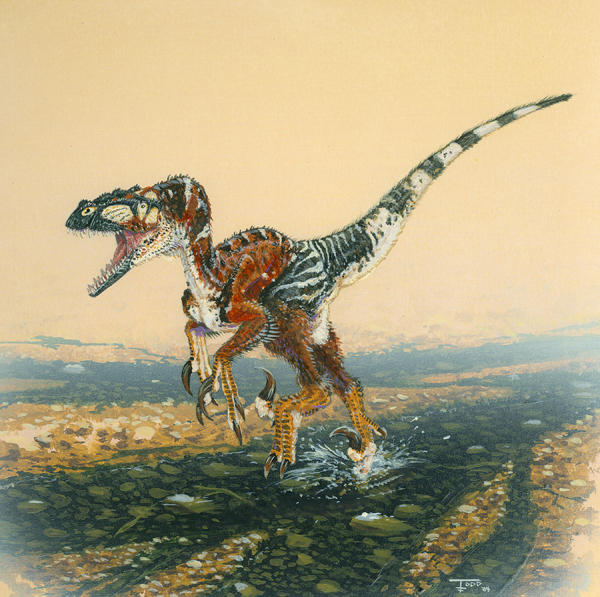 utahraptor_final300web.jpg