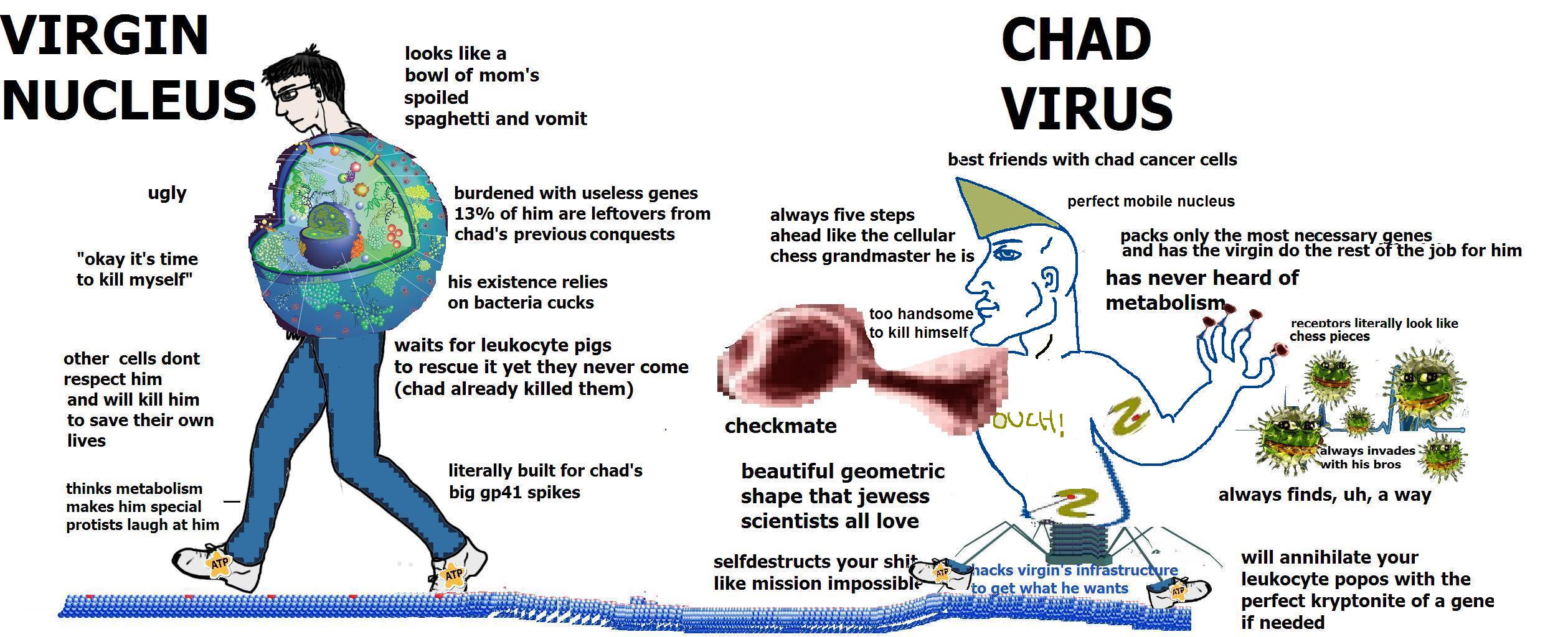 1cf.jpg