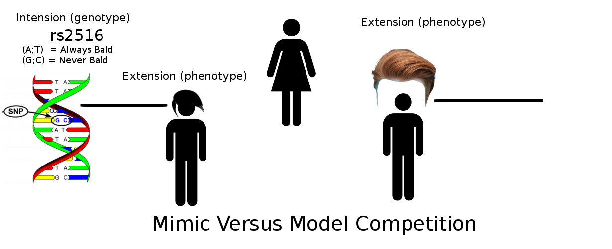 1721_qG2Mx2_compete.png