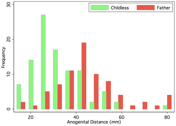 [Image: Human_male_anogenital_distance_graph.jpg]